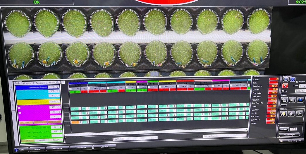 Pantalla del sistema de cámaras de precisión con IA clasificando aguacate en JALISCAVO